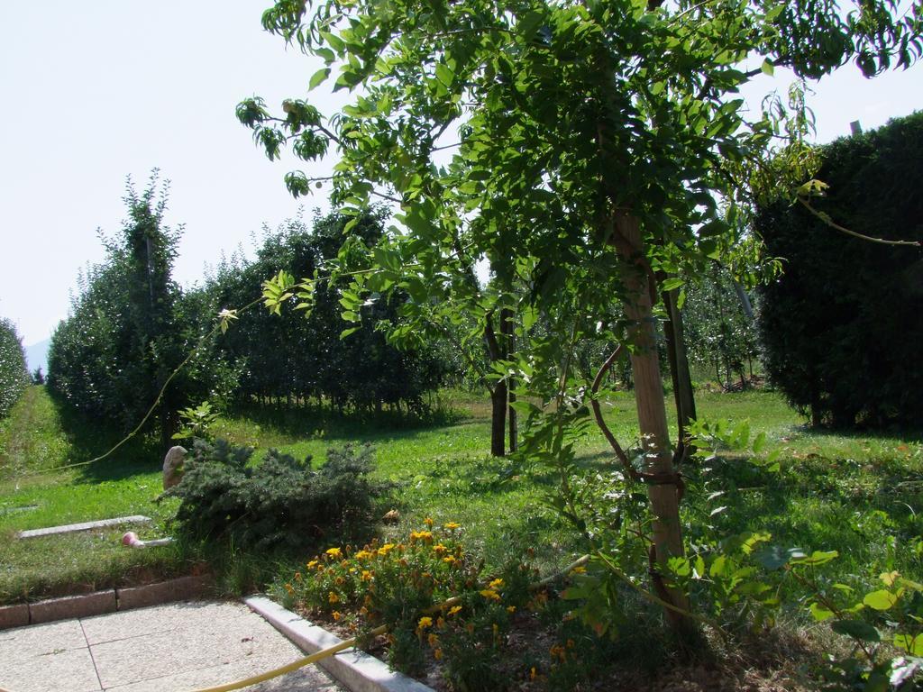 شقة Agritur Fior Di Melo Nanno المظهر الخارجي الصورة